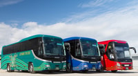 Okinawa, Full-Day Bus Tour to Yanbaru National Park - Housity