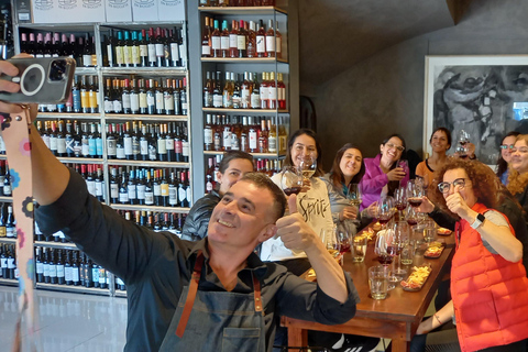 Buenos Aires: Private Bike Tour on Wine Route