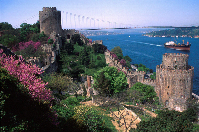 Excursion d'une journée à Istanbul en avion depuis Alanya, Side, Antalya Kemer