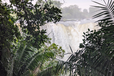 Victoria Falls Half-Day Guided Tour: Zambia & Zimbabwe