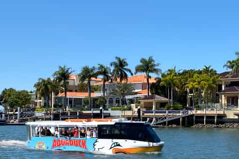 Mooloolaba: 1-Hour Land and Water Tour
