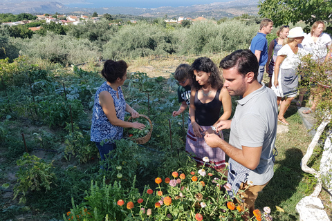 La Canée : Atelier sur le vin crétois, l'huile d'olive et la cuisine