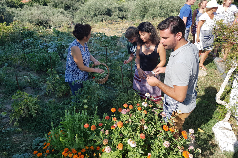 Chania: Kreteńskie wino, oliwa z oliwek i warsztaty kulinarne
