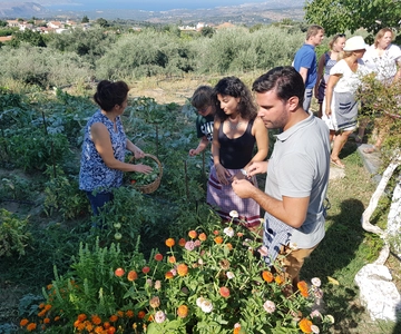 Chania: Taller de Vino, Aceite de Oliva y Cocina Cretense