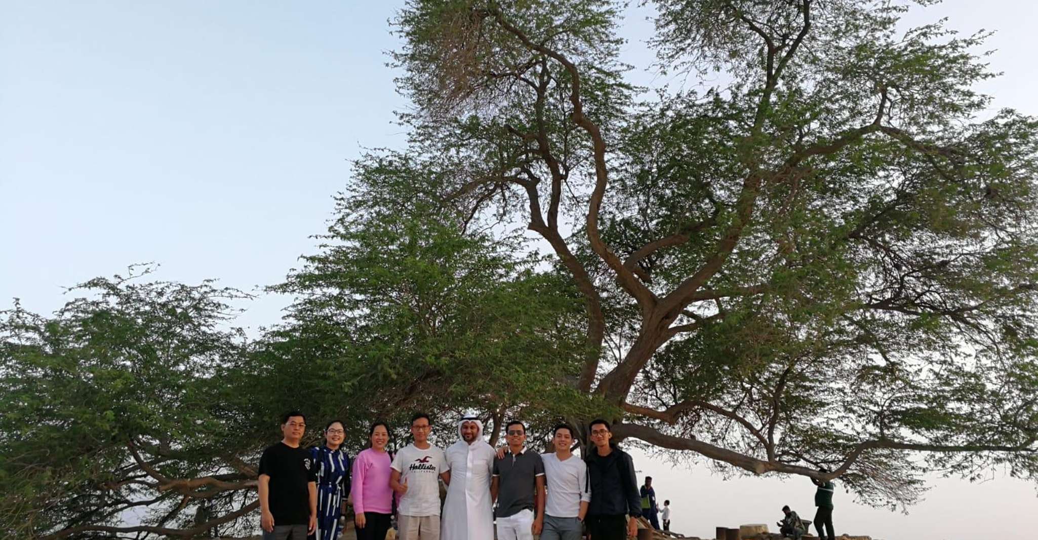 Bahrain in a Day from City Lights to Desert Landscapes photo 4