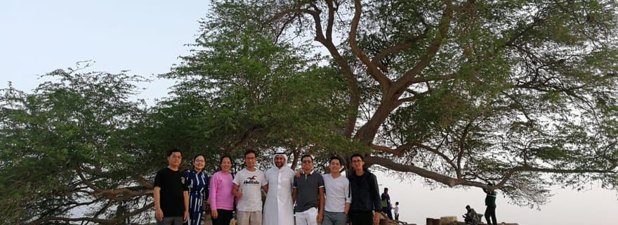 Le Bahreïn en une journée, des lumières de la ville aux paysages désertiques