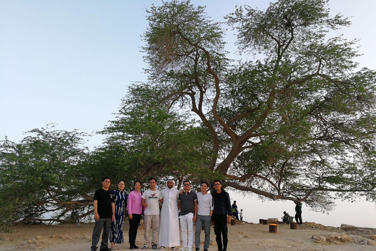 Le Bahreïn en une journée, des lumières de la ville aux paysages désertiques