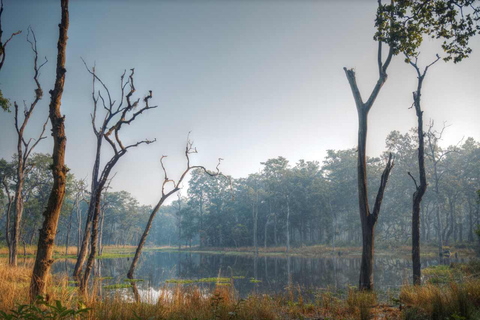 Safari w dżungli Chitwan: 3-dniowa wyprawa do dżungli