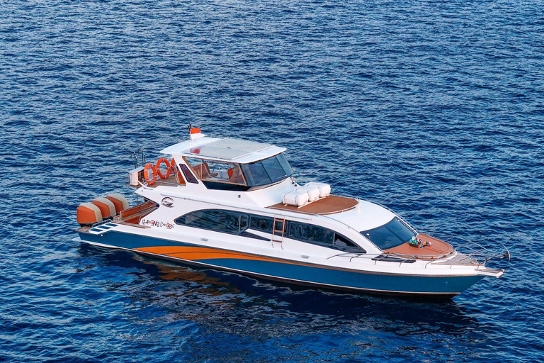 Six Wonders of Komodo: Premium Speedboat Day Cruise
