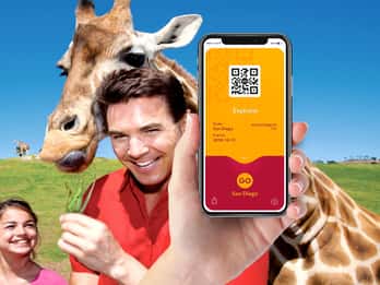 San Diego: Gehen Sie zum San Diego Explorer Pass San Diego: Gehen Sie zum San Diego Explorer Pass