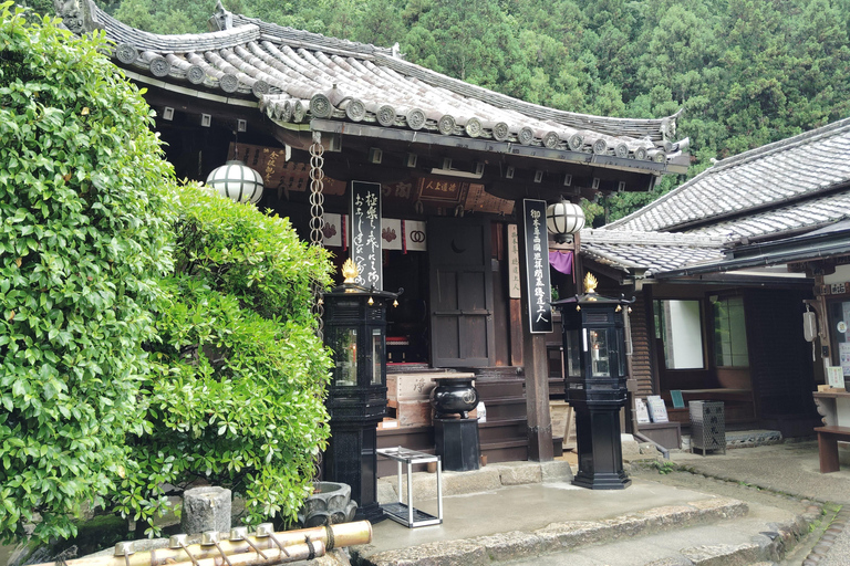 Nara: Entdecke die riesige Kannon-Statue und den Tempel am Steilhang von HasederaNara: Entdecke die riesige Kannon-Statue und den Tempel am Steilhang in Hasedera
