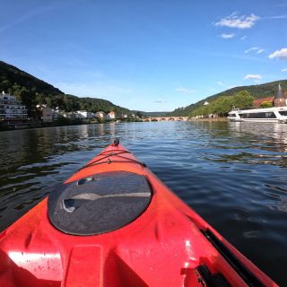 Heidelberg: 2-Hour Kayak Tour