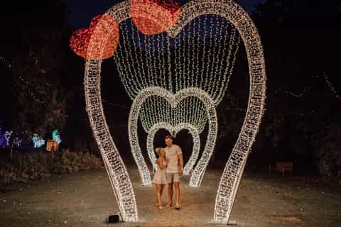 Hunter Valley: Christmas Lights, Wine, Cheese & Beer Tasting