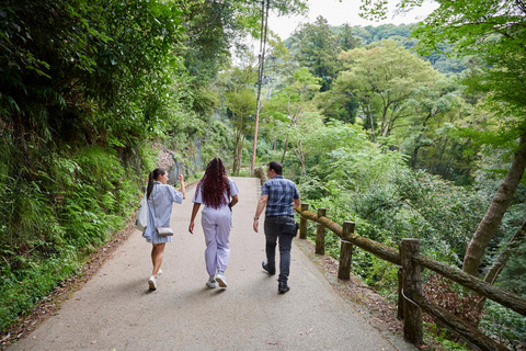 Osaka: Wandeltocht met gids naar Minoo waterval - 2,5uOsaka: 2,5 uur wandelen in Minoh