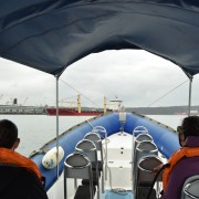 Durban: 1-Hour Boat Cruise from Wilson's Wharf