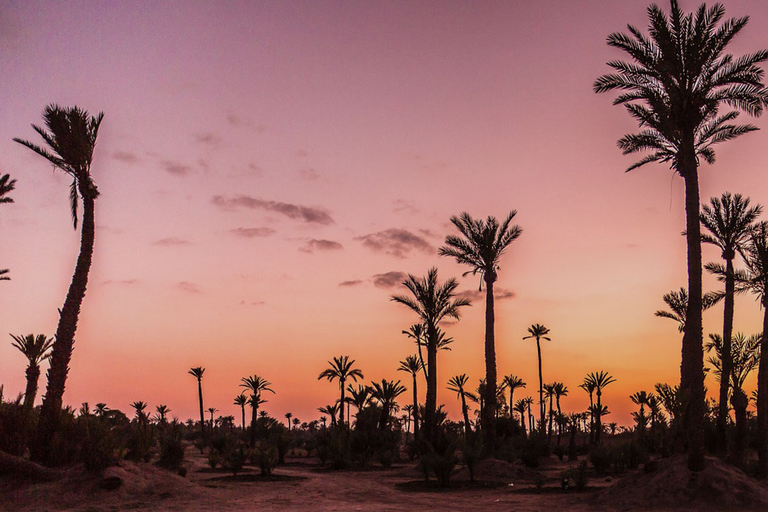 Marrakech Palmeraie: przejażdżka na wielbłądach o zachodzie słońca