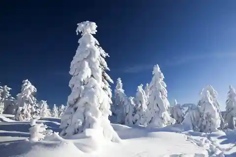 Rovaniemi: Snescooter-safari-eventyr