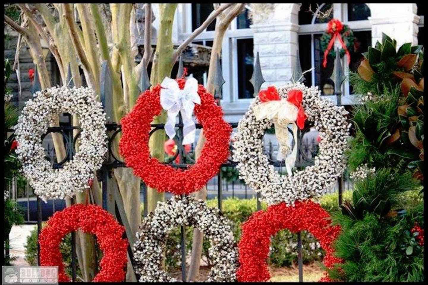 12 Best Things To Do At Christmas In Charleston, South Carolina