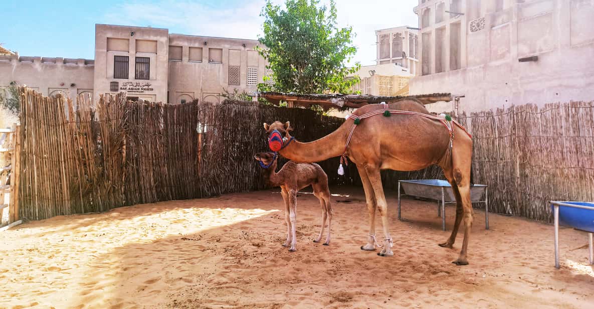 Dubai: Old Town, Dubai Creek, Souks, and Street Food Tour