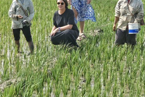 Yogyakarta: Flying Fox, Pule Payung & Ricefield Scenic Tour