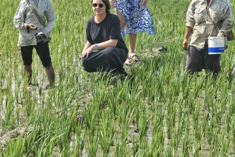 Yogyakarta: Flying Fox, Pule Payung & Ricefield Scenic Tour