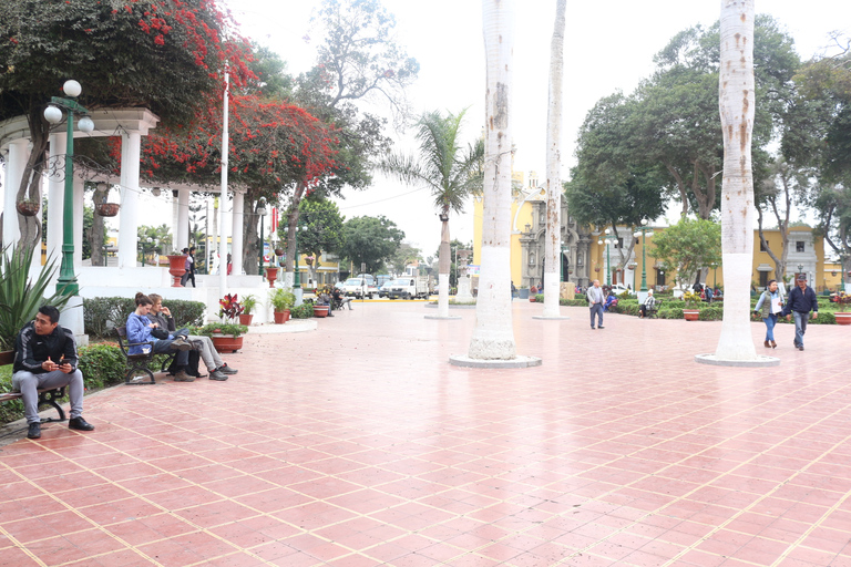 Lima : visite de la ville de Lima moderne et musée Pedro de OsmaVisite moderne privée de Lima et musée Pedro de Osma