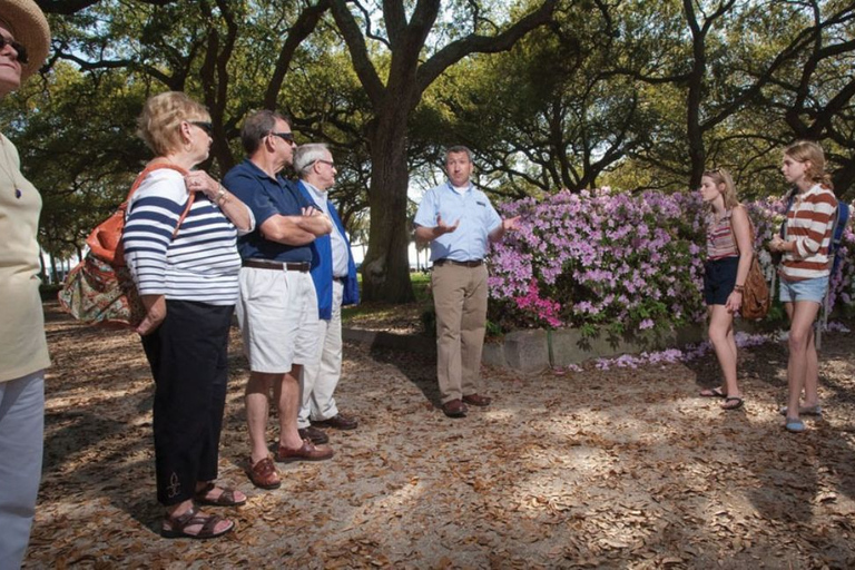 Charleston: decorações de férias e passeio a pé pela história