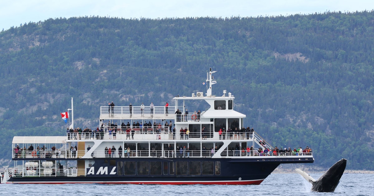 Tadoussac ou BaieSainteCatherine observation baleines GetYourGuide