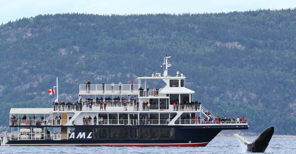 Tadoussac or Baie-Sainte-Catherine: Whale Watching Cruise