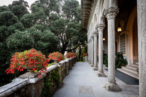 Sintra: Biglietto per il Palazzo e il Parco di Monserrate