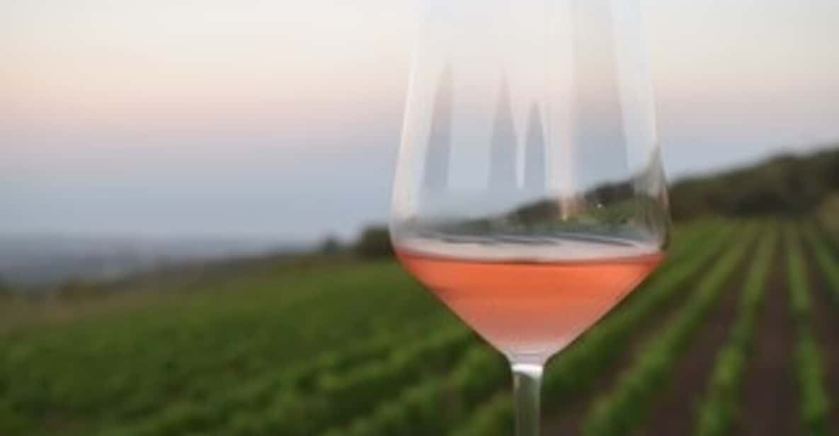 Mount Etna Winery Tour and Tasting GetYourGuide