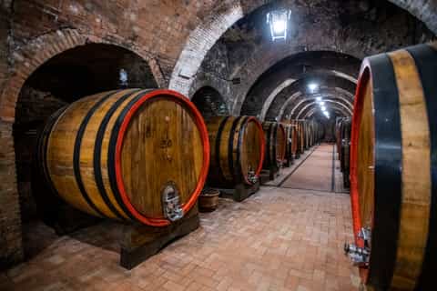 Montepulciano: Historical Cellars Guided Tour & Wine Tasting