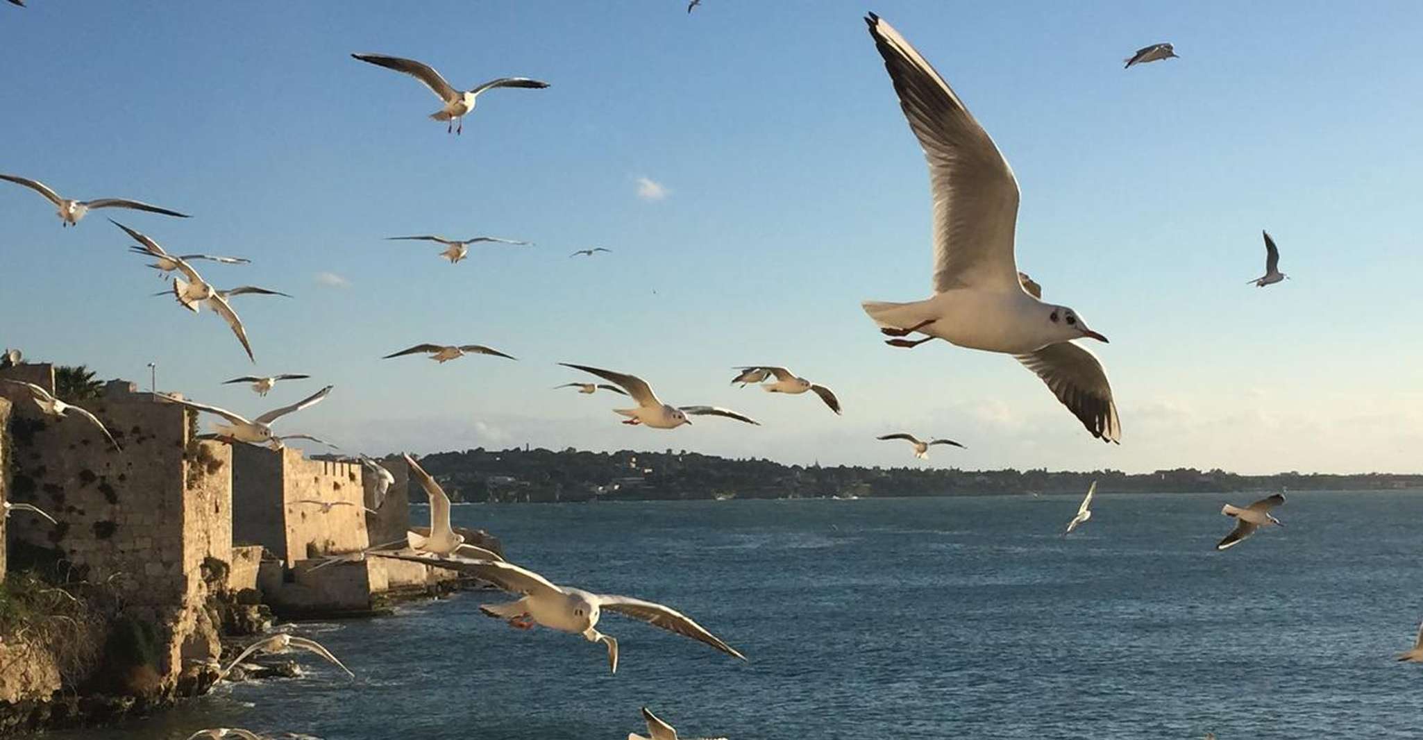 Siracusa, Ortygia Island Boat Tour with Grotto Visit - Hizvo
