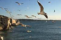 Excursión en barco de Siracusa, Ortygia Island con visita a Grotto - Hizvo