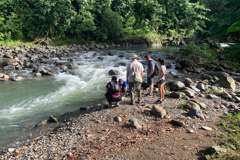 El Yunque National Rainforest: Nature Walk and Beach Trip