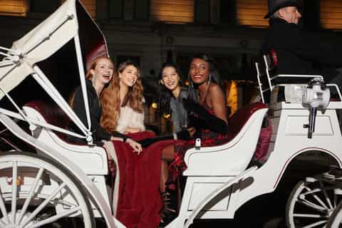 Central Park: Horse and Carriage Ride