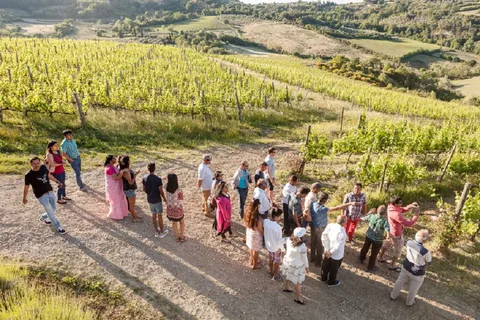Montepulciano: Vino Nobile Wine Tour — Meet the Producers