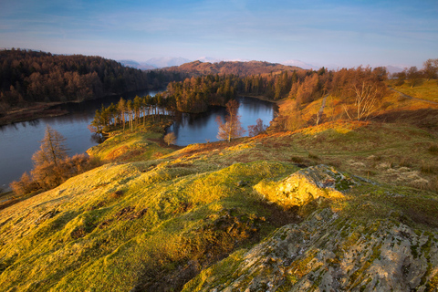 De Londres: Passeio pelo Lake District com chá com creme e cruzeiro guiadoPasseio com Bilhete Padrão