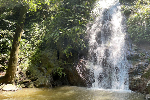 Minca: Cascada escondida + Taller de Café y Cacao y Mirador