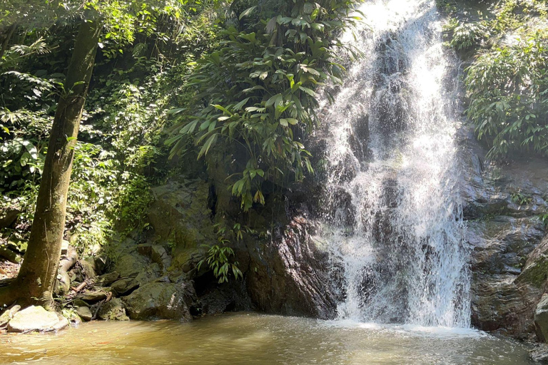 Minca: Cascada escondida + Taller de Café y Cacao y Mirador