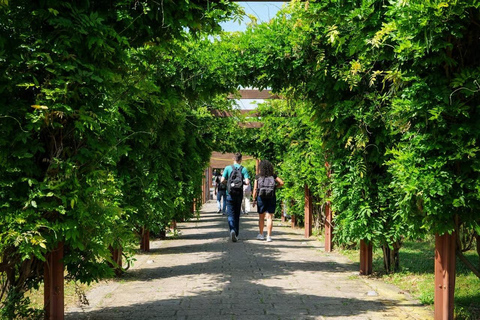 Rome: Vesuvius, Pompeii or Herculaneum by High-speed Train Pompeii Spanish Guided Tour & Vesuvio Entry ticket