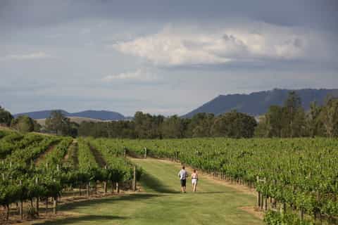 New South Wales: 4-Day Driving Wine and Food Tour
