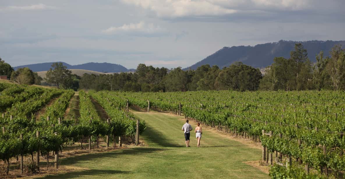 New South Wales: 4-Day Driving Wine and Food Tour