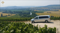 From Reims, Champagne Day Trip to Two Local Domains & Lunch - Housity
