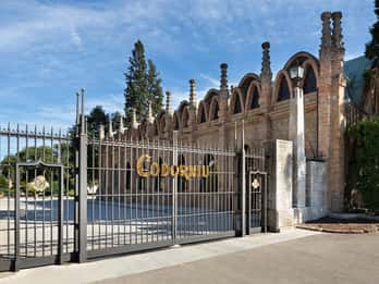Barcelona: Casa Codorníu Guided Tour with Cava Tastings