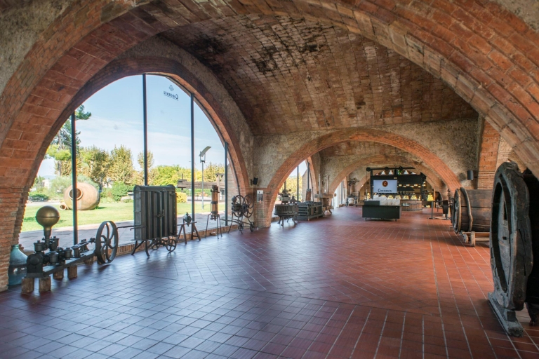 Barcelona: Caves Codorniu Winery Tour basierend auf Annas LebenEnglische Tour