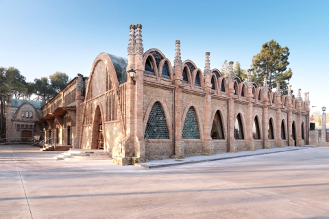 Barcelone: Caves Codorniu Winery Tour basé sur la vie d'AnnaVisite espagnole