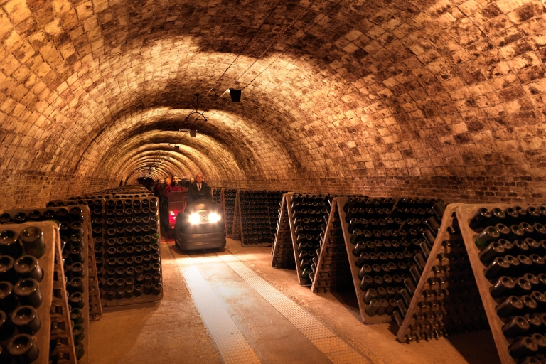 Barcelona: Caves Codorniu Winery Tour gebaseerd op Anna's levenEngelse rondleiding