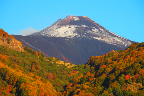 Sicilië: begeleide wandeling door de Etna's North Slope Craters