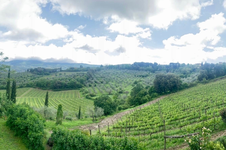 Desde Florencia: experiencia de vino PRIVADA en Chianti ClassicoExperiencia de vino de día completo en Chianti Classico